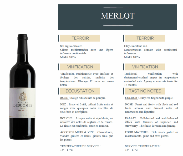merlot details
